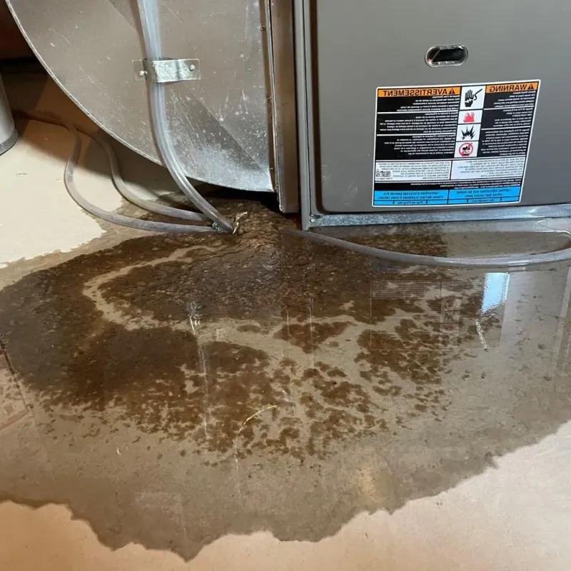 Pipe Burst and Leak Restoration in Long Hill, CT